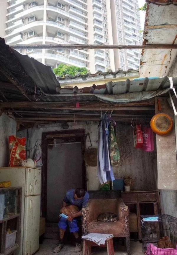 “啊?你這種條件還養什麼貓?” “啊?你這種條件還養什麼貓?”