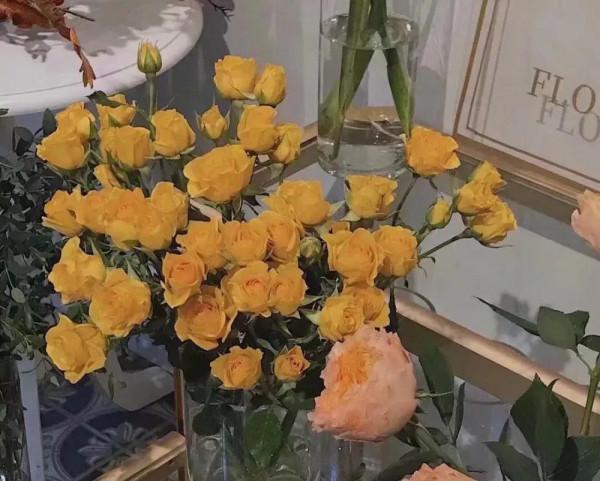 《周易》：用樂天知命，應對自己的後半生