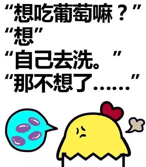 當十二星座化身東北名菜,看看你算哪盤菜? 當十二星座化身東北名菜,看看你算哪盤菜?