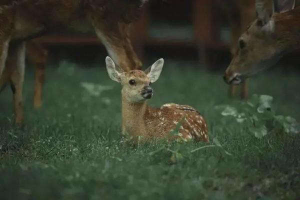 這個國慶假期，網紅景點濾鏡把我騙慘了……