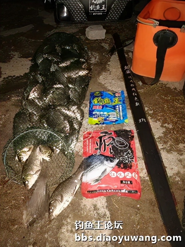 寒潮風雨襲膠河，大板鯽魚護中來