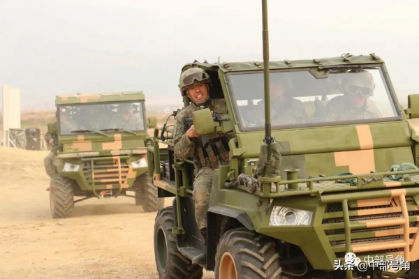 沙場點兵！直擊中部戰區陸軍優秀“四會”教練員比武