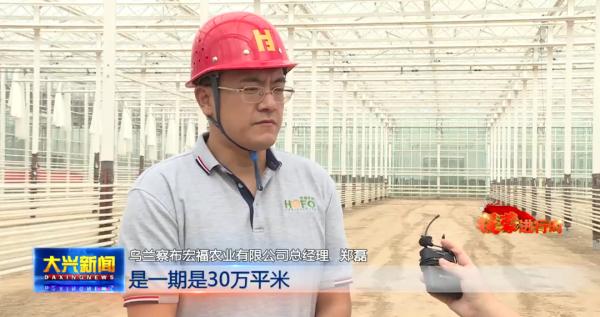 草原上的“四季番茄小鎮” 草原上的“四季番茄小鎮”