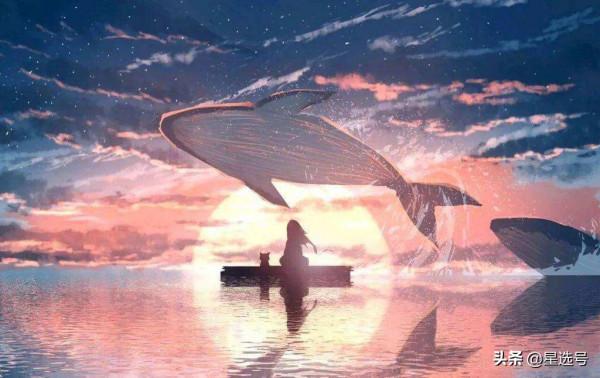 生態鏈最偉大的死亡，深海中最神奇的鯨落，感嘆生命的神奇