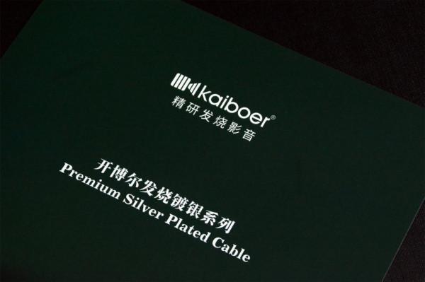 配樂播放者選用的發燒級鍍銀音訊線，一根用到底，省錢又省力