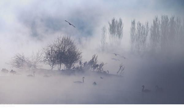12月去哪玩?這8個美如畫卷的小眾打卡地,一到冬天就美成了仙境 12月去哪玩?這8個美如畫卷的小眾打卡地,一到冬天就美成了仙境