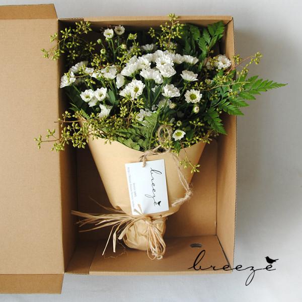 最推薦你買的花——小菊