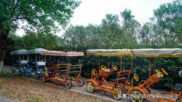 杭州出發18分鐘到達,海寧觀潮美食遊玩攻略 杭州出發18分鐘到達,海寧觀潮美食遊玩攻略