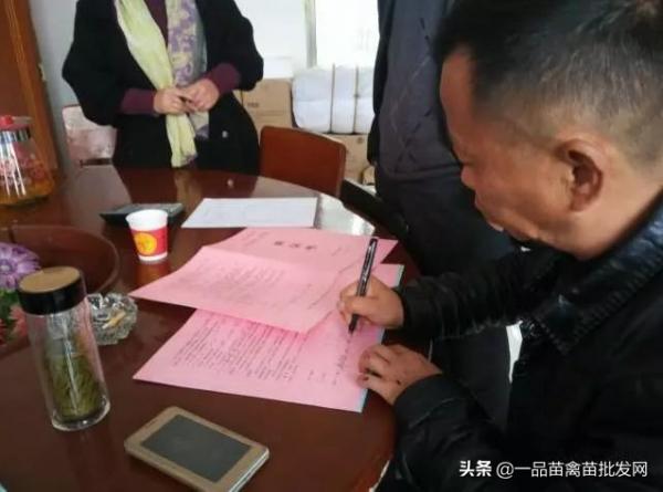 養了一批“包回收”的鴨子，我要用6年時間來“填坑”