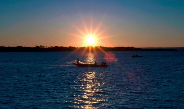 撫遠的鮭魚汛 撫遠的鮭魚汛