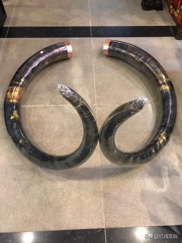 猛獁象牙真實市場成交價是多少？