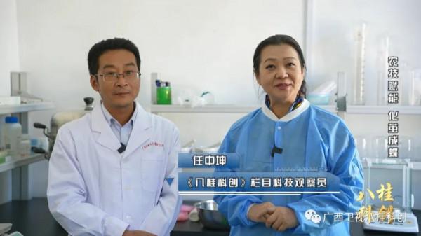 稀奇！廣西的蠶寶寶不吃桑葉