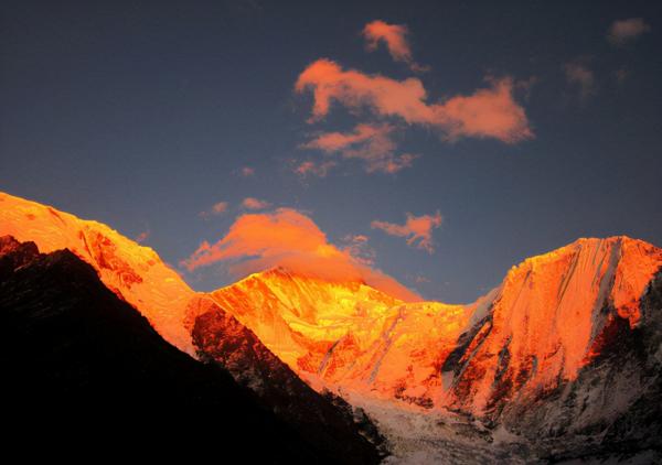 四川又發現一人間仙境，樹還會走路？還是瀕危動物的棲息地