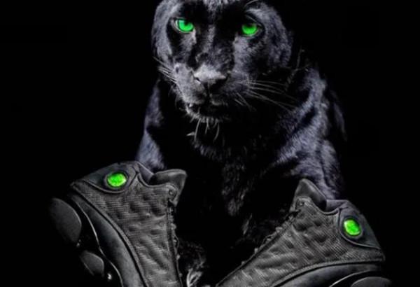 細說AJ正代,最後之舞,披荊斬棘的喬丹和AJ13 細說AJ正代,最後之舞,披荊斬棘的喬丹和AJ13