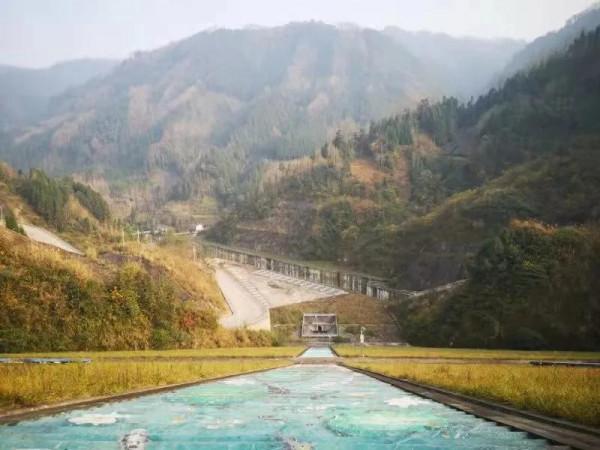 冬日暖陽，穿越叢林