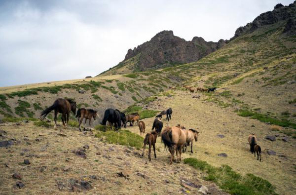 黃河高出地面10米，已是“懸河”，莫非國家從不清理河底泥沙？