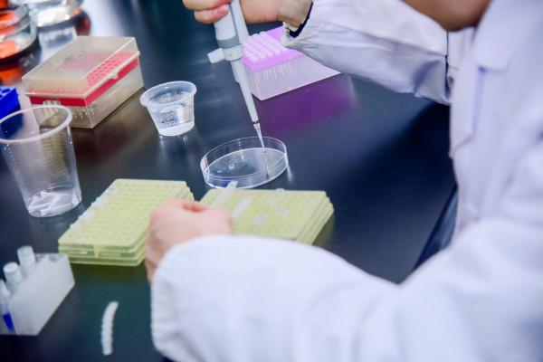 十年科技創新助力中國乳業高質量發展,乳業生物技術國家重點實驗室奏響乳業強國之音 十年科技創新助力中國乳業高質量發展,乳業生物技術國家重點實驗室奏響乳業強國之音