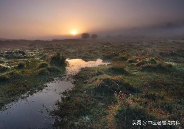 億萬蒼生，九種體質，老中醫給你講清楚，你是哪種體質 該怎麼調理