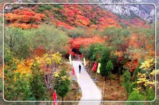 晉陽八景之——崛圍紅葉 晉陽八景之——崛圍紅葉