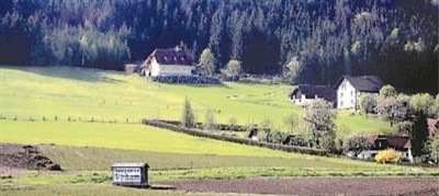 維也納田園交響曲