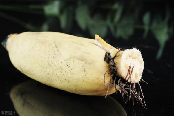 明日臘八,如果條件允許,記得多吃“5根”,順應季節,好處多多 明日臘八,如果條件允許,記得多吃“5根”,順應季節,好處多多