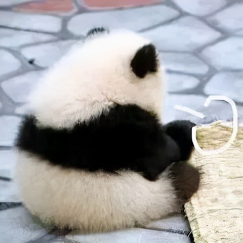 小基數減肥也不難！不到一個月，她減了將近9斤