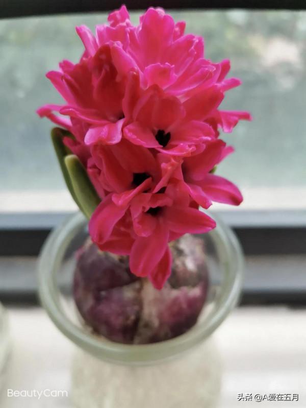 0.5個家庭主婦的雞零狗碎，感謝聰明智慧的發明洗衣機的帥哥？