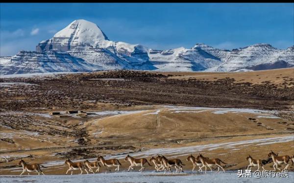 攻略 | 岡仁波齊景區轉山,不為修來世,只為途中與你相見 攻略 | 岡仁波齊景區轉山,不為修來世,只為途中與你相見