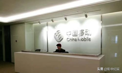 2016年價值48萬的手機號，未欠費卻被登出，移動公司至今沒解釋