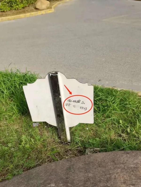 要在魚多的地方打窩 要在魚多的地方打窩