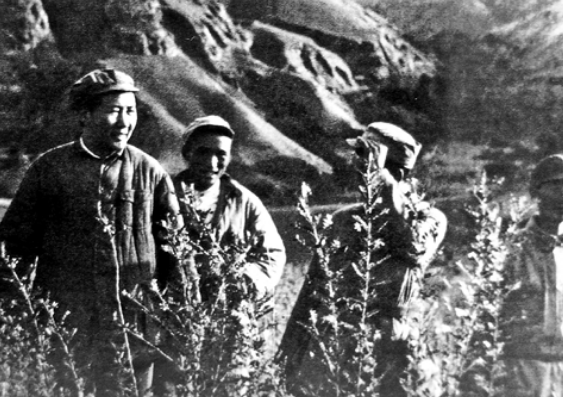 警衛員因工資低鬧情緒,毛主席將他叫來:小田,我給你商量個事 警衛員因工資低鬧情緒,毛主席將他叫來:小田,我給你商量個事