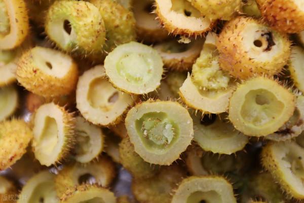 好吃的野果子大盤點，有的身價倍增，快要吃不起了