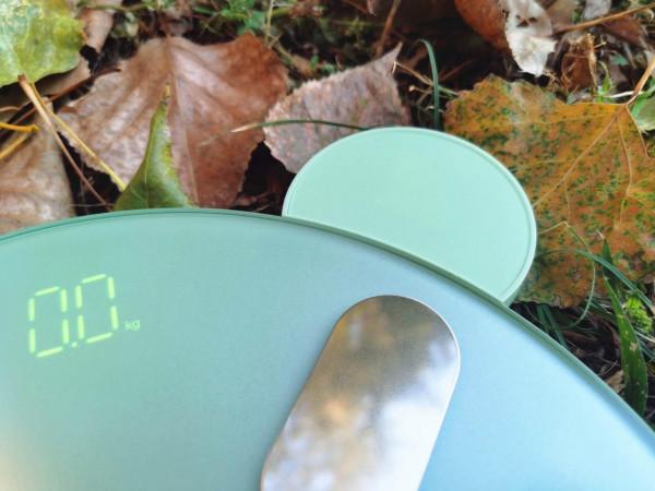 咕咚智慧小魔獸體脂秤,讓減肥方向更加明確 咕咚智慧小魔獸體脂秤,讓減肥方向更加明確