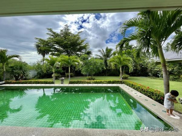 我們又雙叒叕搬家了！500㎡泰國深山別墅，清風徐來鳥語花香