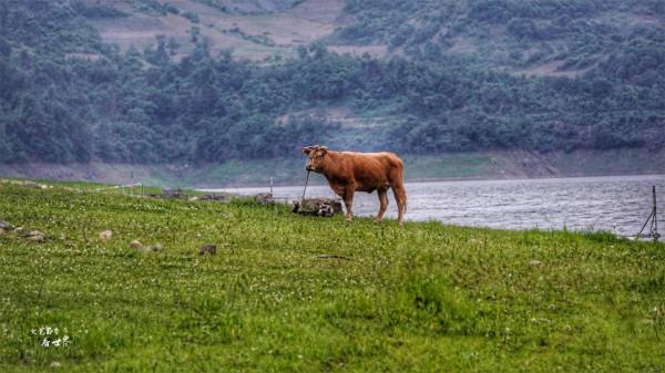 丹東綠江村是鴨綠江畔的秘境,攝影師蜂擁而至,去的路上就美翻了 丹東綠江村是鴨綠江畔的秘境,攝影師蜂擁而至,去的路上就美翻了