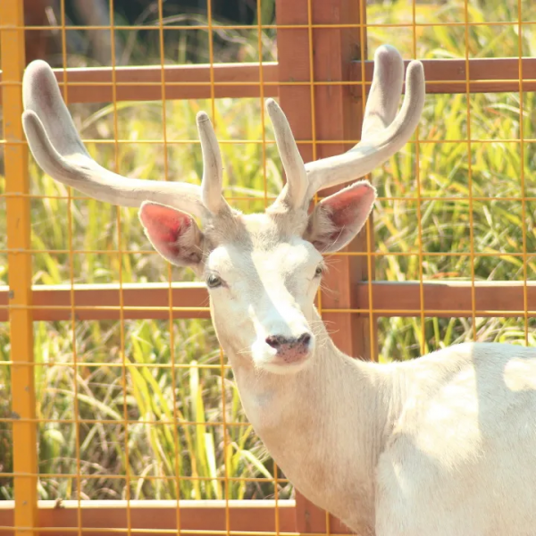 【我們的節日】預備!一起出發~ 【我們的節日】預備!一起出發~