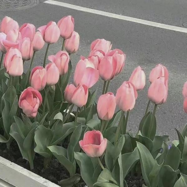 有目標肯奮鬥，能夠不斷挑戰自己的星座