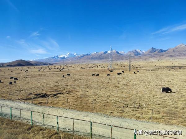 橫跨5000公里的火車，只停靠12個火車站，被譽為旅遊觀光列車