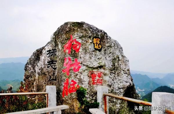江西這款茶,有人說名字雖不算雅,但喝過一次就會愛上 江西這款茶,有人說名字雖不算雅,但喝過一次就會愛上
