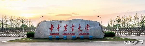 劉靜霞（女），華中農業大學教授、博導，魚類遺傳發育專家