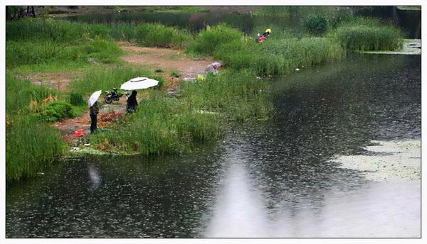 入秋下雨天釣魚,釣深還是釣淺,就看這兩個指標了 入秋下雨天釣魚,釣深還是釣淺,就看這兩個指標了