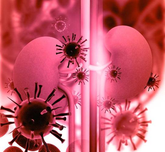 患有腎炎不重視,會損傷到腎功能,做好這5件事,或能緩解病情 患有腎炎不重視,會損傷到腎功能,做好這5件事,或能緩解病情