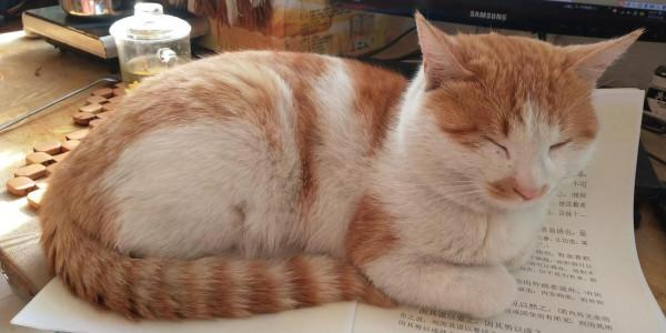 萬事萬物,皆是謀略——謀篇第十(四) 萬事萬物,皆是謀略——謀篇第十(四)