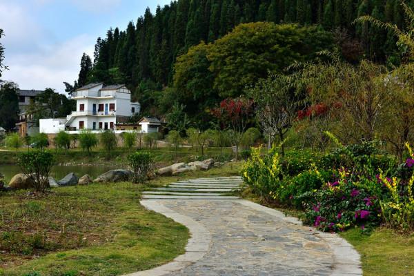 農村“新四害”，村村有，家家愁！都有哪些危害？