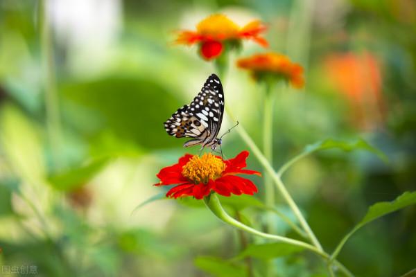 2022年1月運勢：天蠍座、摩羯座、射手座