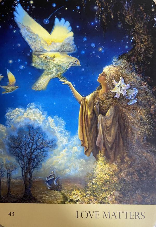 日運：1.16心靈運勢指引