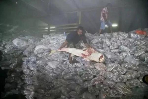 海鮮與屍體一起冷凍——揭秘人血海鮮的背後 海鮮與屍體一起冷凍——揭秘人血海鮮的背後