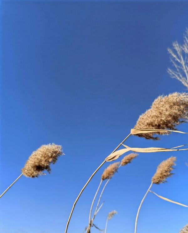 散文:《我的老妻》 散文:《我的老妻》