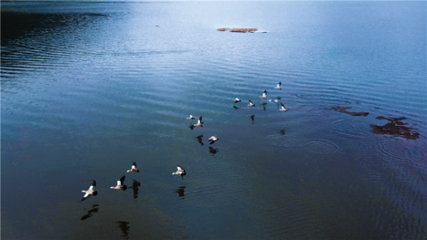 絕美，跟隨鏡頭俯瞰“世界花園彩雲南”