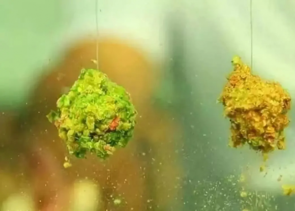 吃不完的月餅可以拿去打窩喲